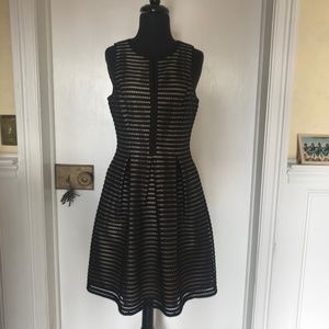 Black Mesh Fit and Flare